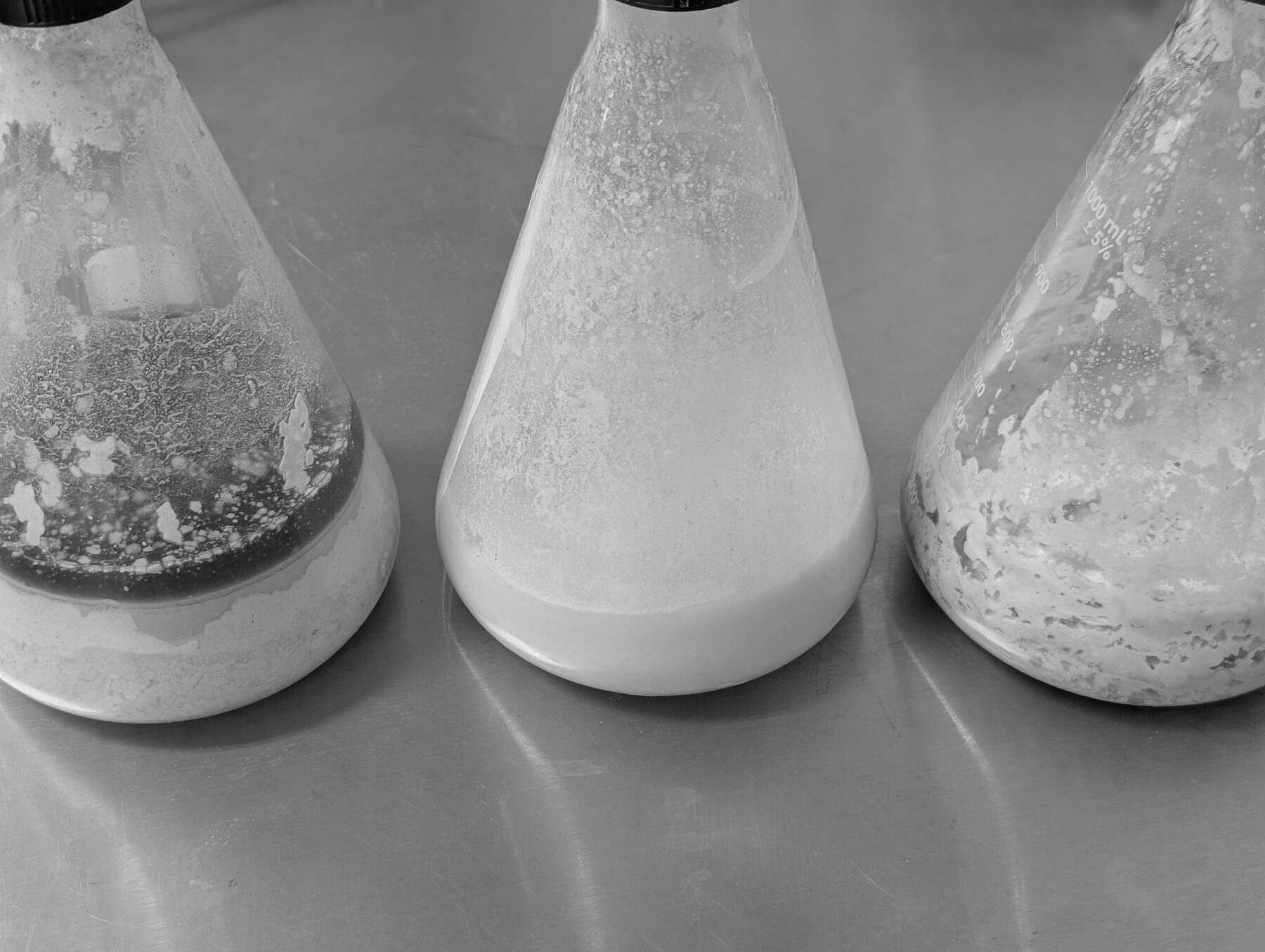 Primer plano de grasa licuándose por digestión bacteriana durante una prueba de drenova.