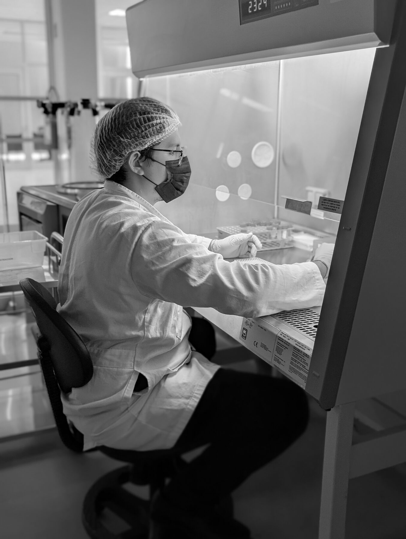 Preparación de muestras bajo campana de flujo laminar en el laboratorio de Granatum.